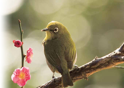 中部日本デンタルショー　東海歯科用品商協同組合