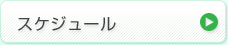 スケジュール