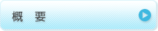 概要